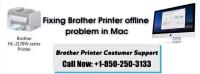 Brother Printer Support image 1
